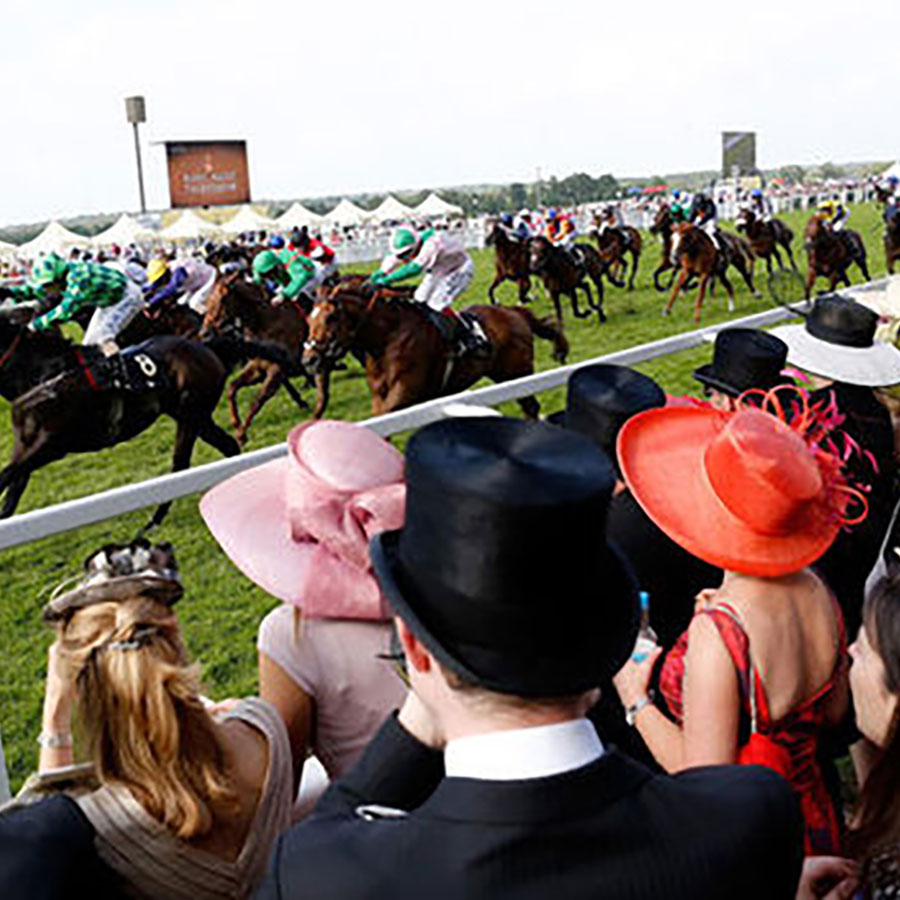 royal-asscot-horse